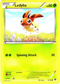 Ledyba