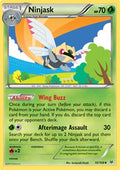 Ninjask