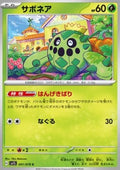 Cacnea