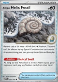 Antique Helix Fossil