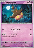 Pumpkaboo
