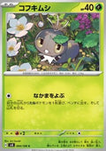 Scatterbug