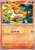 Ponyta