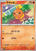Torchic